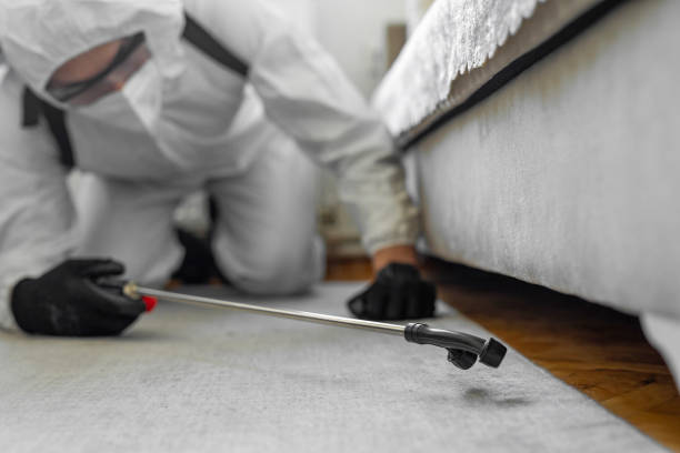 Professional Emergency Pest Control technician working in West DeLand, FL