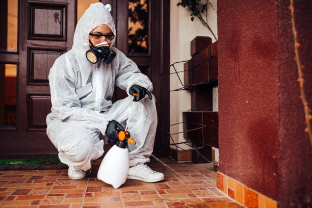 Reliable Emergency Pest Control contractor in West DeLand, FL by Nex Pest Control