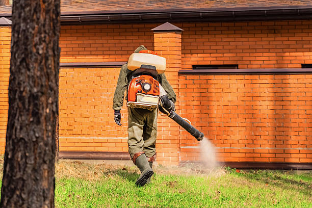 Trusted Emergency Pest Control service in West DeLand, FL - Nex Pest Control